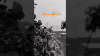 What Should I Do If A Child Wants To Swim Without Swimming Rings? Rabbit