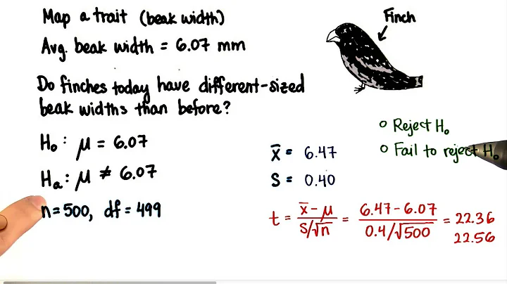 Finches - Decision - Intro to Inferential Statistics