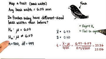 Finches - Decision - Intro to Inferential Statistics