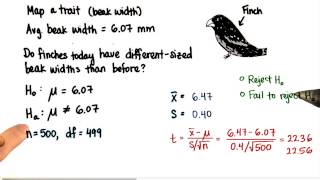 Finches - Decision - Intro to Inferential Statistics