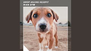 Download Lagu Drop Anjing Kejepit Download Lagu Drop Anjing Kejepit
