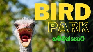 The Untold Stories of Bird Park Hambantota | කුරුල්ලෝ 3200ක්