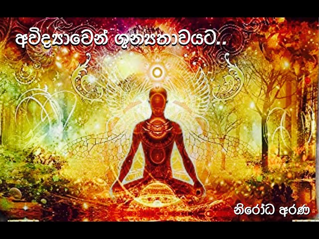 අවිද්‍යාවෙන් ශුන්‍යතාවයට | nirodaarana@gmail.com class=