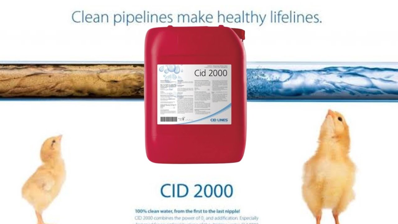 Pipeline cleaning videos  Cid 2000  Poultryfarms