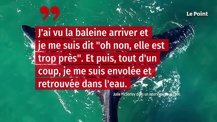 États-Unis : deux kayakistes se retrouvent « avalées » par une baleine