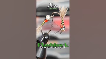 Fly tying Spotted Green Quill Perdigon (Flashback). Arzur Drag Queen. #atadodemoscas #flytying