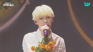 Enhypen  orange Flower  Performance  Enhypen romance  Untold Fan Showcase 