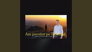 Am Pierdut Pe Domnul