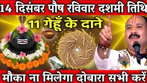 14 दिसंबर पौष रविवार दशमी तिथि के दिन 11 गेंहू के दाने वाला उपाय जरुर करे || Pradeep Ji Mishra 