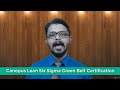 Six Sigma Green Belt Online Course