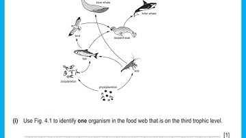 Combined Science Paper 41 November 2021 -  Dr  Hanaa Assil