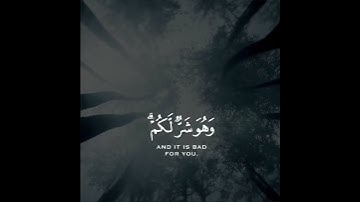 وعسى أن تكرهوا شيئا وهو خير لكم وعسى أن تحبوا شيئا وهو شر لكم | سورة البقرة | القارئ ماهر المعيقلي