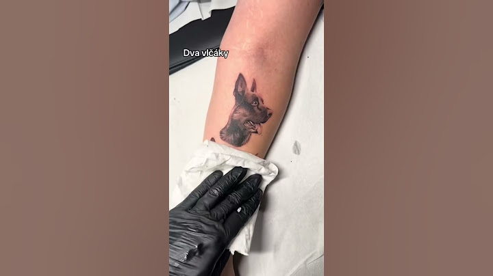 Který se ti líbí nejvíc? @skranka_tattoo  #tattoo #tetování #tetovani #pes