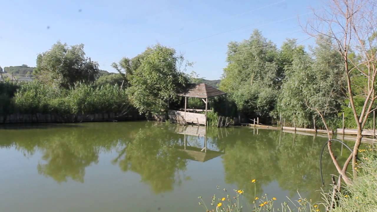 Германовка