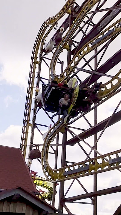 😵 SCHREIST Du so in der Achterbahn? 🎢 #PANIK #Shorts
