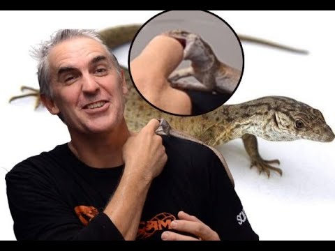 petco hours Gillen's Monitor Cuddles - CrittaCam