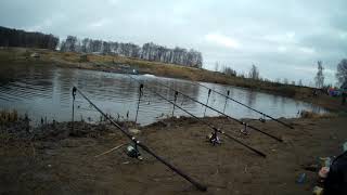 Форель в Кокино #форель #фидер #донка #кокино #платник #оснастка