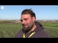 Agricoltura e salute. Verdure spontanee ed erbe di campo