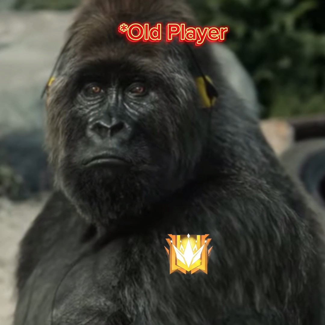 Goosebumps Alert⚠️ || Nostalgia Guaranteed ? || Only Free fire Old Players Can Relate❤️