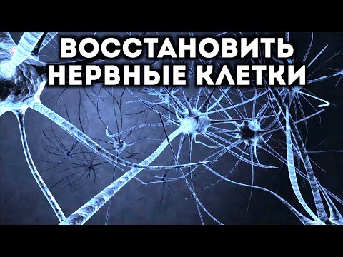 Как восстановить нервные клетки?