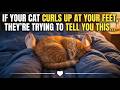 If Your Cat Sleeps at Your Feet, This Is What They're Really Saying