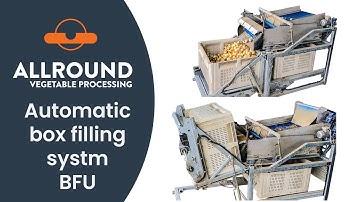 Automatic box filling system BFU | Allround Vegetable Processing