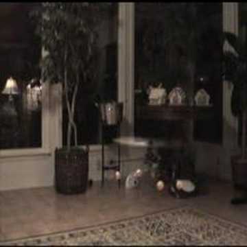 Honeybee CP2 - Learning to Fly 3