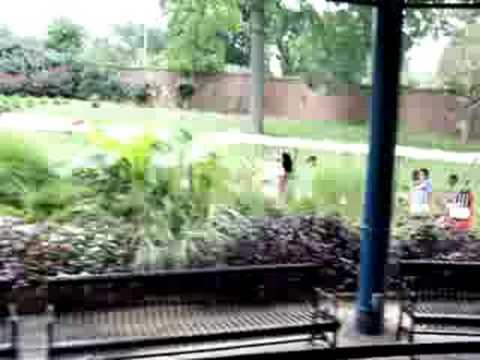 St. Louis Zoo Carousel. - YouTube
