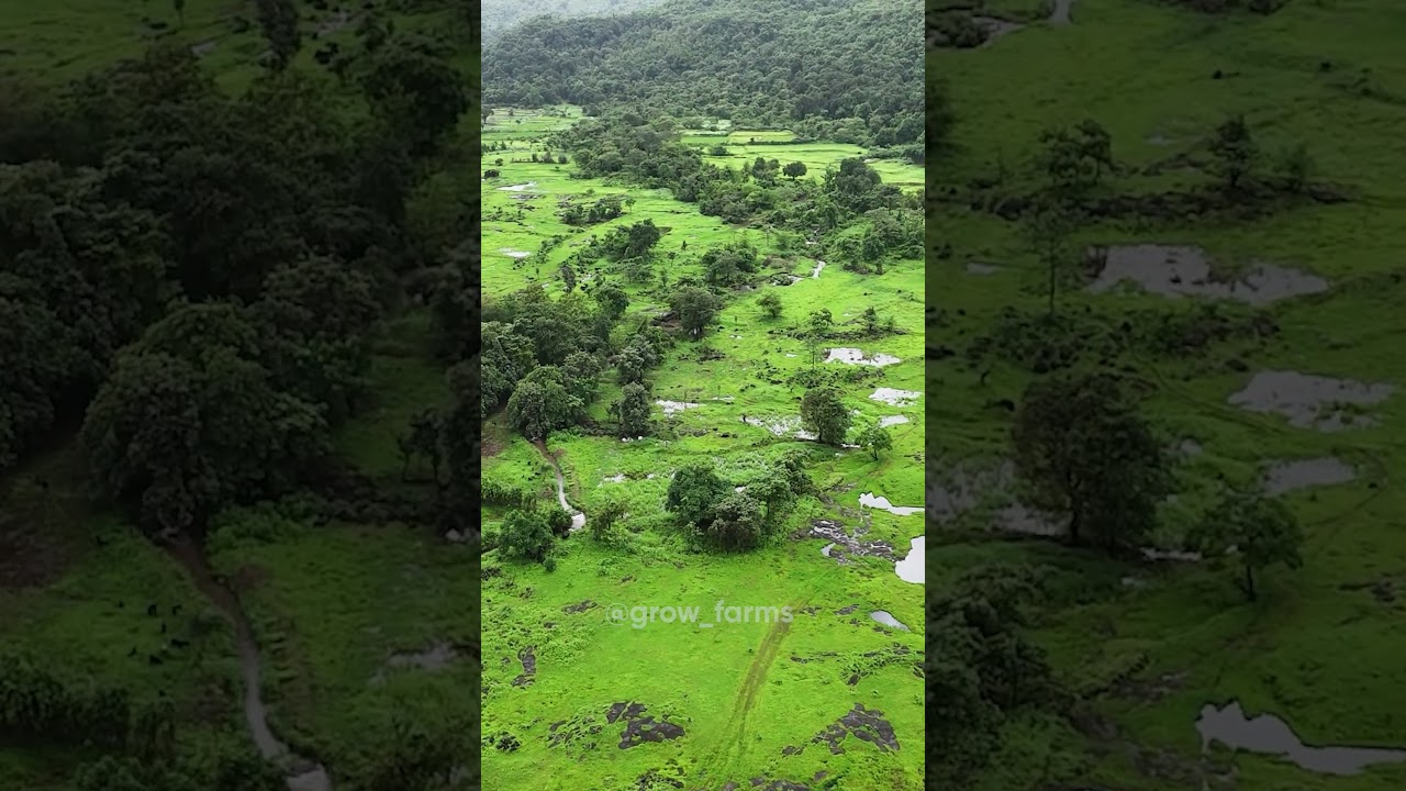 Own Premium Farmhouse Land Near Mumbai | Invest in GrowFarms Today!  