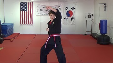 Basic Blocks Reverse Punch Back Stance to Front Stance