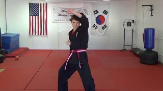 Famous Basic Blocks Reverse Punch Back Stance to Front Stance Wealth