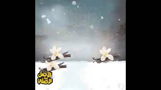 الرحماني شارع الوحدة