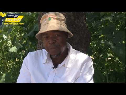 GOKWE PART 2 Gogo Vakatengesa Mwana Ane 3 Years Muzukuru Speaks More PaMusoro Pezvakaitika