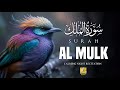 Surah Al-Mulk (سورة الملك) | Sleep with Peace Every Night | Emotional Quran Recitation