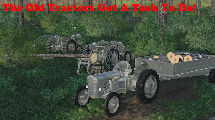 FS19 | Ferguson System Pack | Work In Forest!
