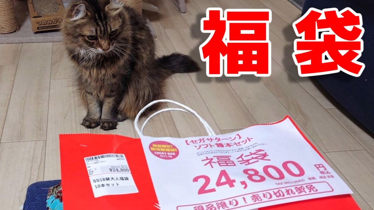 2026年 初売り 福袋 秋葉原ゲーム館 セガサターン ジャンク 10本セット 開封