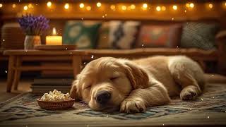 12 Hours of Dog Calming Music 🐶💤 Relaxing Sleep Sounds ✨ Healing Anti-Anxiety Relief