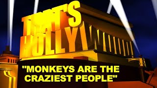That's Hollywood: Monkeys Are the Craziest People