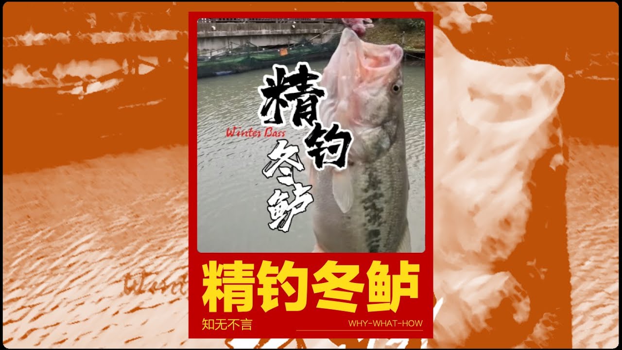 精釣冬鱸 Bass Fishing in Winter #fishing #bassfishing #outdoors #熱門