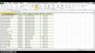 Celebrity Excel Tutorial 5 Case Problem 2 Profile