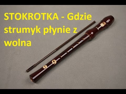 Flet Prosty Gdzie Strumyk Plynie Z Wolna Stokrotka Youtube