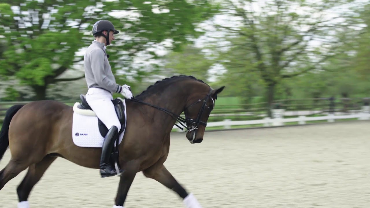 Patrik Kittel Dressage Tour S2E5 - Medelsvår Nivå: Galoppsluta