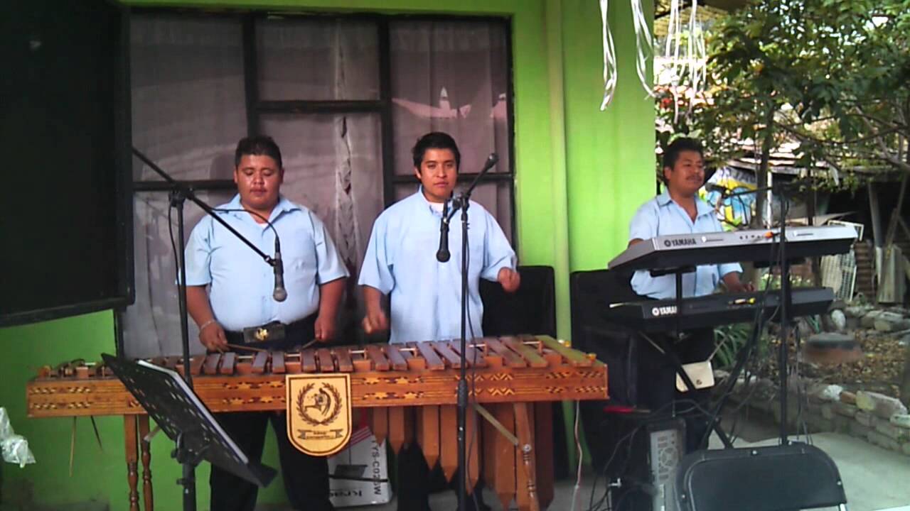 marimbas en df y mexico. la cotorra gorrona de la marimba cuquita