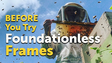 FOUNDATIONLESS BEEKEEPING | How-to, Benefits, Downside & Why I Do It