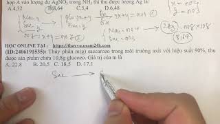 ID2406191535