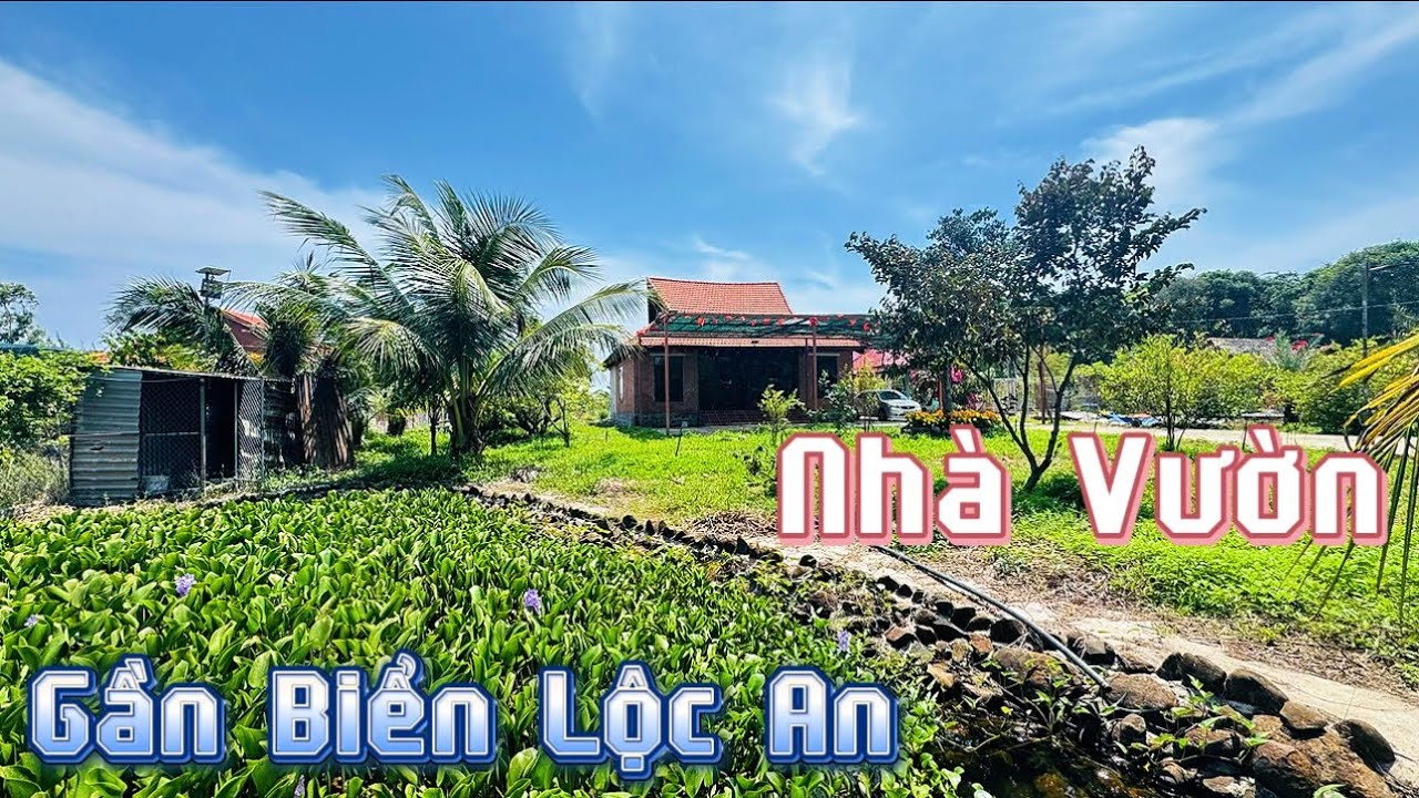 Một Bên Là Rừng Một Bên Là Ruộng Lại Gần Biển Cực Kỳ Hợp Lý Cho Anh Chị Mua Nghỉ Dưỡng #nghĩabathật