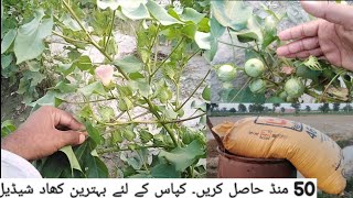 Get 50 Monds/acer. Best Fertilizer Shedhle for Cotton 50 مونڈ حاصل کریں کپاس کےلئے بہترین کھاد شیڈیل