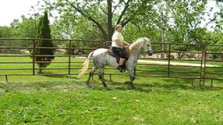 Picture 310.avi