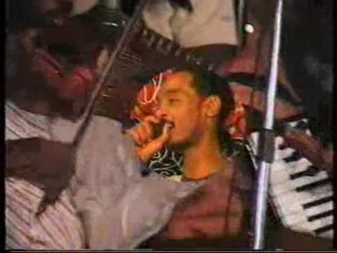 محمود عبد العزيز تباريح الهوى