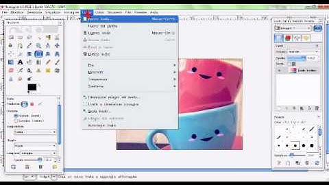 CREARE UNO SCROLLBOX PARTE GRAFICA - GIMP.